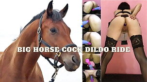 Amateur wife takes big horse cock dildo